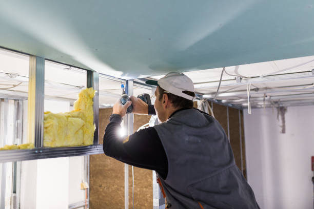 Best Residential Insulation in Ridgeland, MS