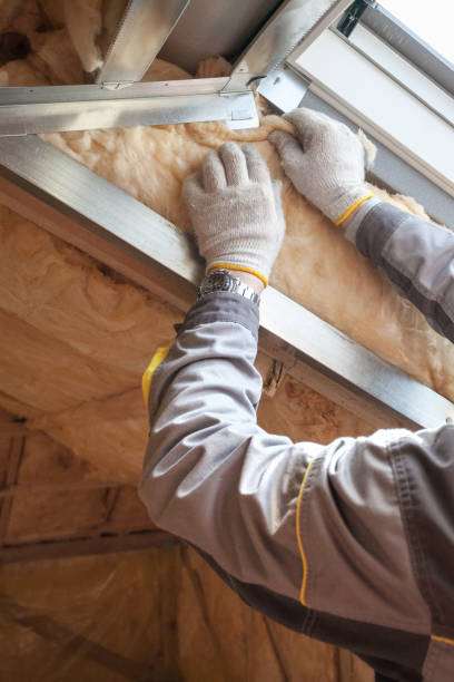 Best Specialty Insulation in Ridgeland, MS