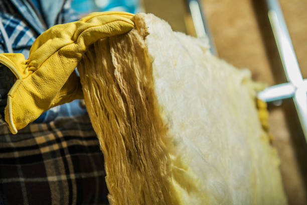 Best Insulation Maintenance and Repair in Ridgeland, MS