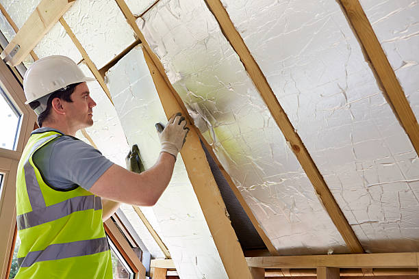 Best Types of Insulation in Ridgeland, MS